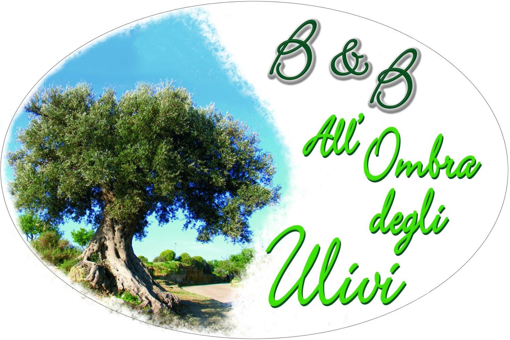 B&B All'Ombra Degli Ulivi Ostuni Extérieur photo